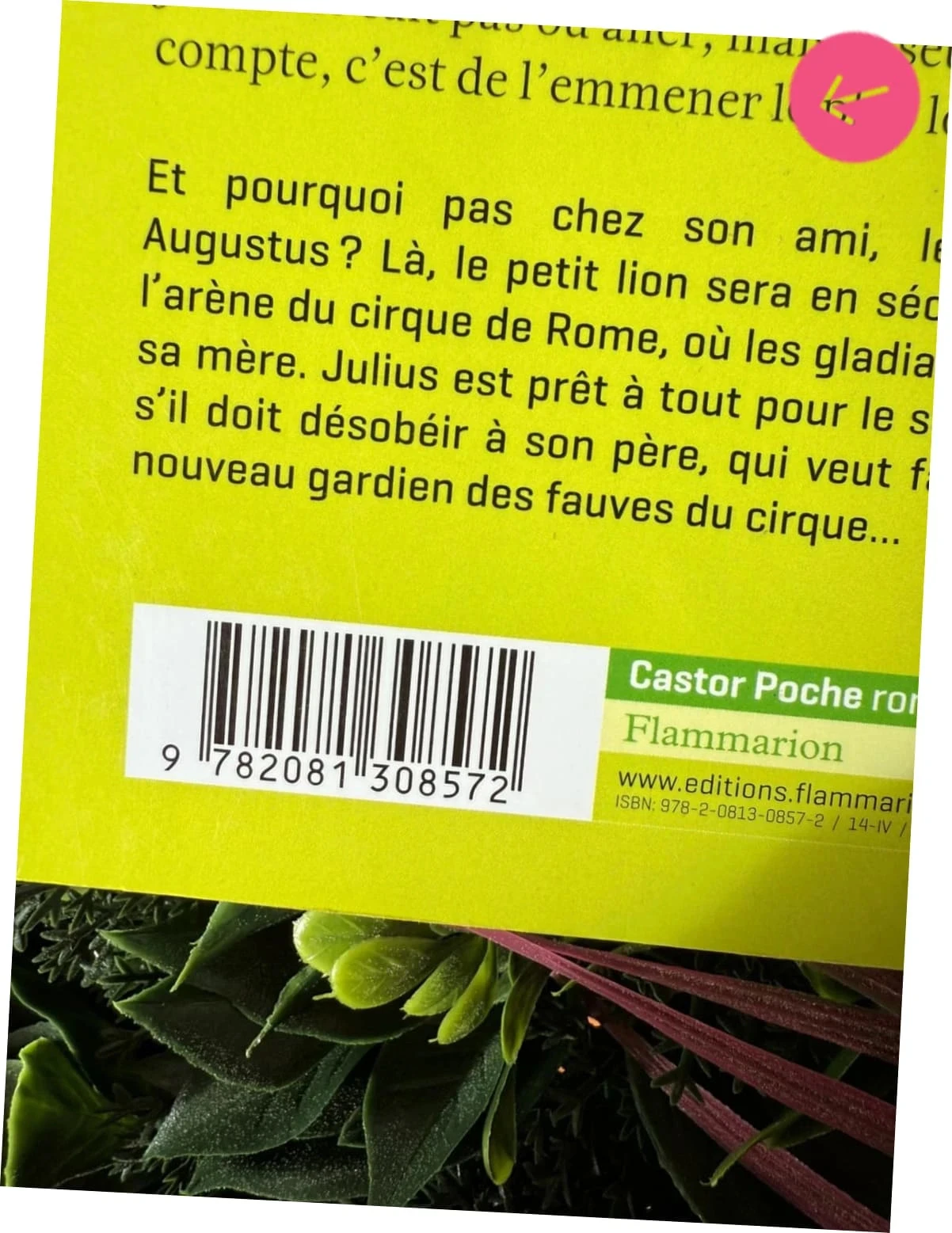 Livre pour le collège, le Lion de Julius – photo 6